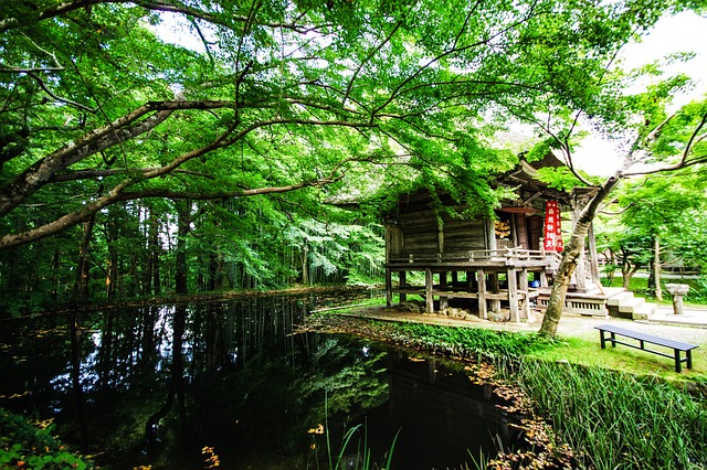 良縁祈願に有名な神社